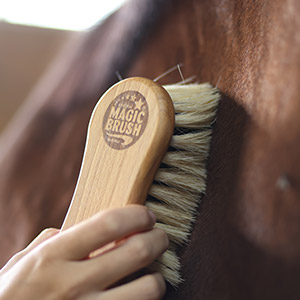 MagicBrush Holzbürste