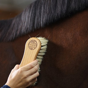 MagicBrush Kombi-Pferdebürste
