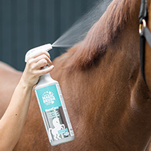 MagicBrush Fellglanzspray ManeCare