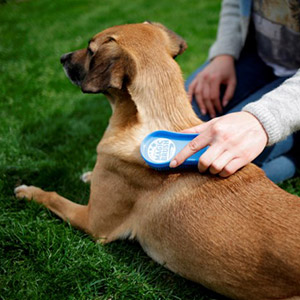 MagicBrush Dog Hundebürste