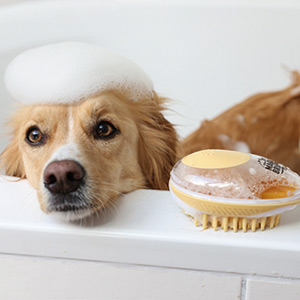 Hund in der Badewanne mit MagicBrush Badebürste
