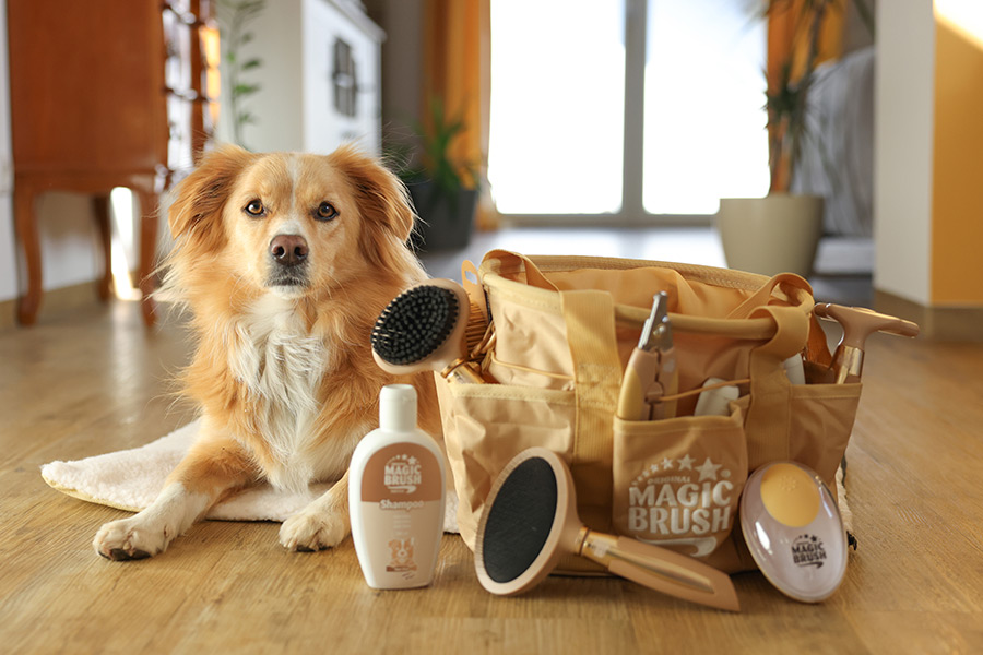 Hund mit MagicBrush Pflegetasche und allen Hundepflegeptodukten von MagicBrush