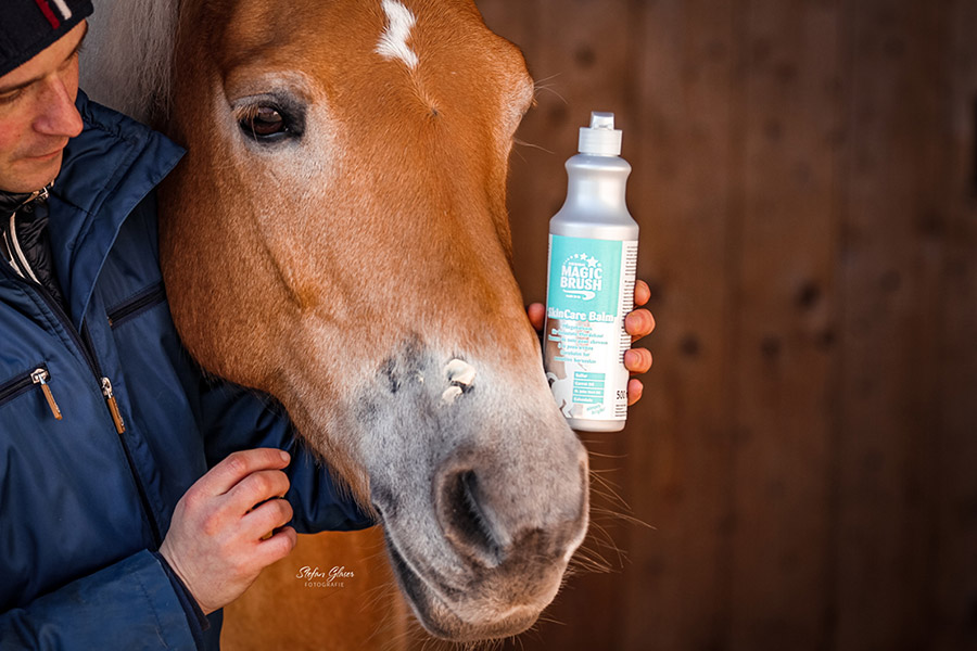 Ein Mann pflergt ein braunes Pferd mit MagicBrush Hautpflegebalsam SkinCare