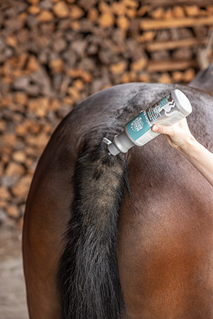 Ein Ekzem-belastetes Pferd bekommt den MagicBrush SkinCare Balsam am Schweif aufgetragen