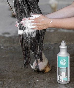 Das Bein eines Pferdes wird mit Pferdeshampoo eingeschäumt
